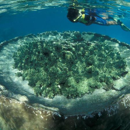 Hotel Sal Salis Ningaloo Reef Exmouth Exterior foto